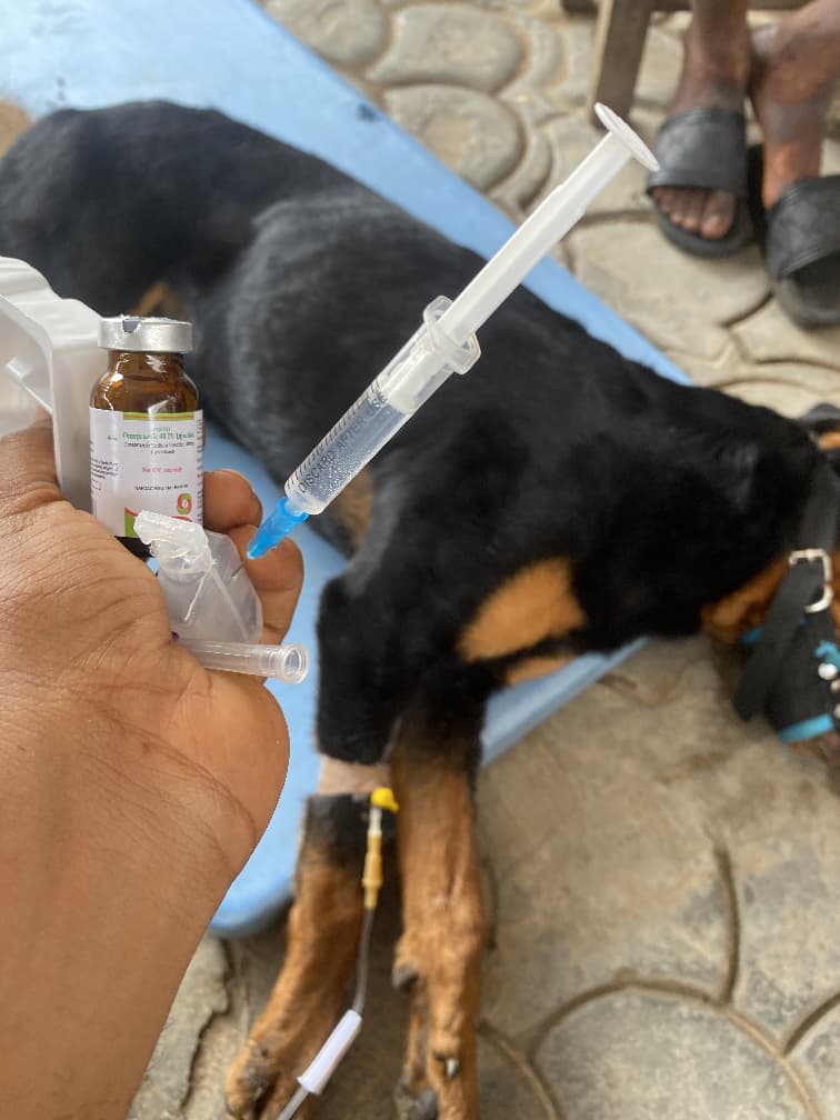 Vaccinations